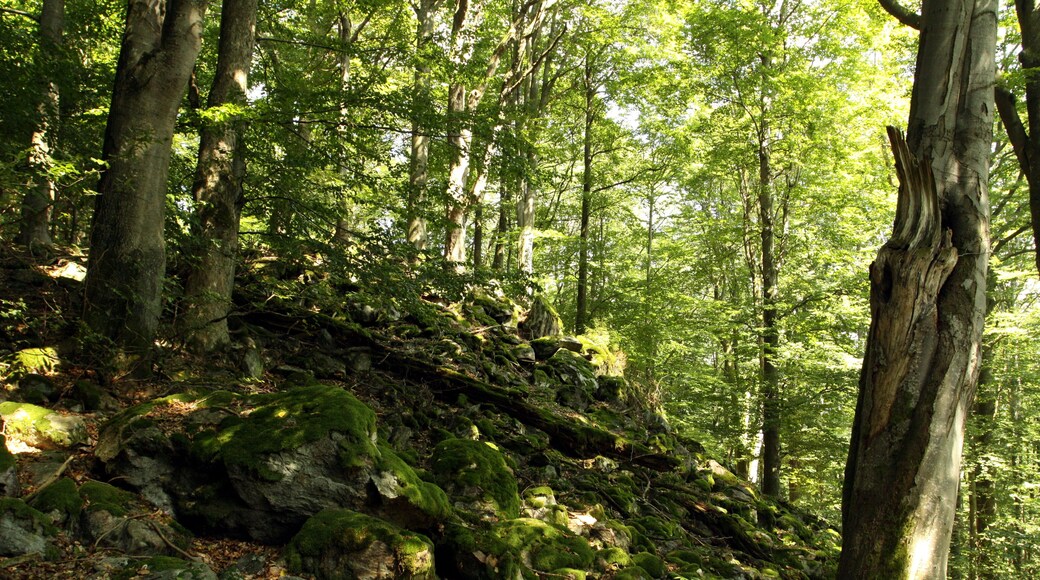Nature reserce Nad Hutí in Domažlice District, Czech Republic
