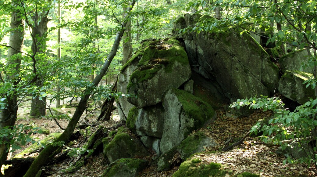 Nature reserve Pleš near Bělá nad Radbuzou in Domažlice District, Czech Republic
