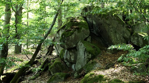 Nature reserve Pleš near Bělá nad Radbuzou in Domažlice District, Czech Republic