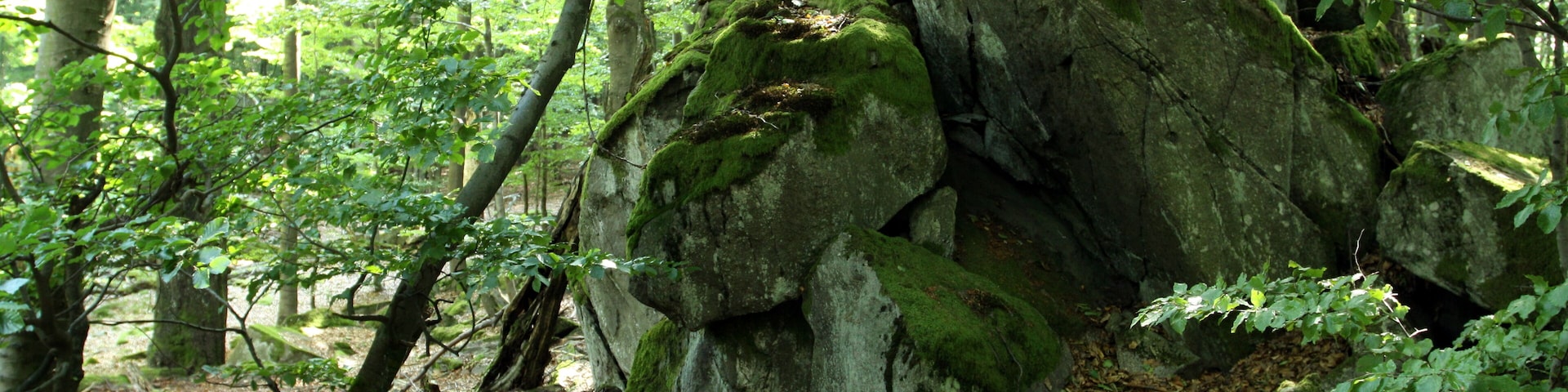 Nature reserve Pleš near Bělá nad Radbuzou in Domažlice District, Czech Republic