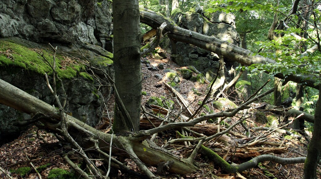 Nature reserve Pleš near Bělá nad Radbuzou in Domažlice District, Czech Republic