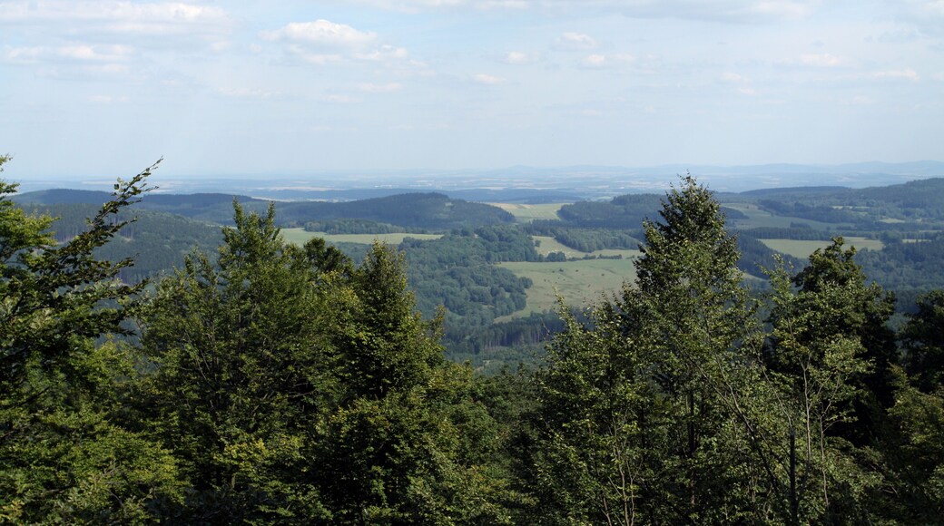Nature reserve PleĆĄ near BÄlĂĄ nad Radbuzou in DomaĆŸlice District, Czech Republic
