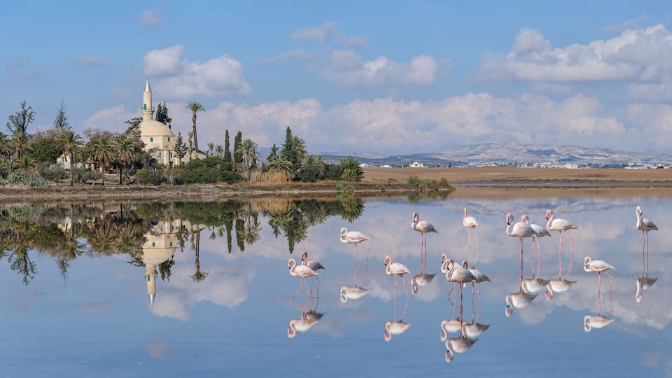 A serene lake with flamingos, a mosque with a green dome, and a mountainous backdrop.