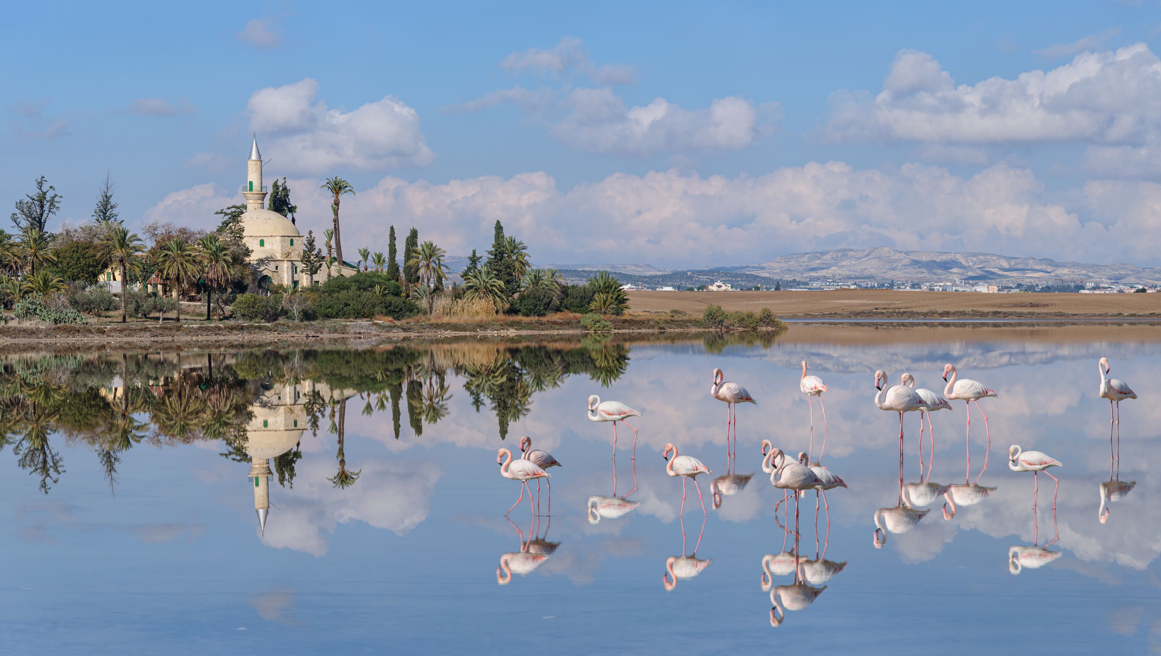 A serene lake with flamingos, a mosque with a green dome, and a mountainous backdrop.