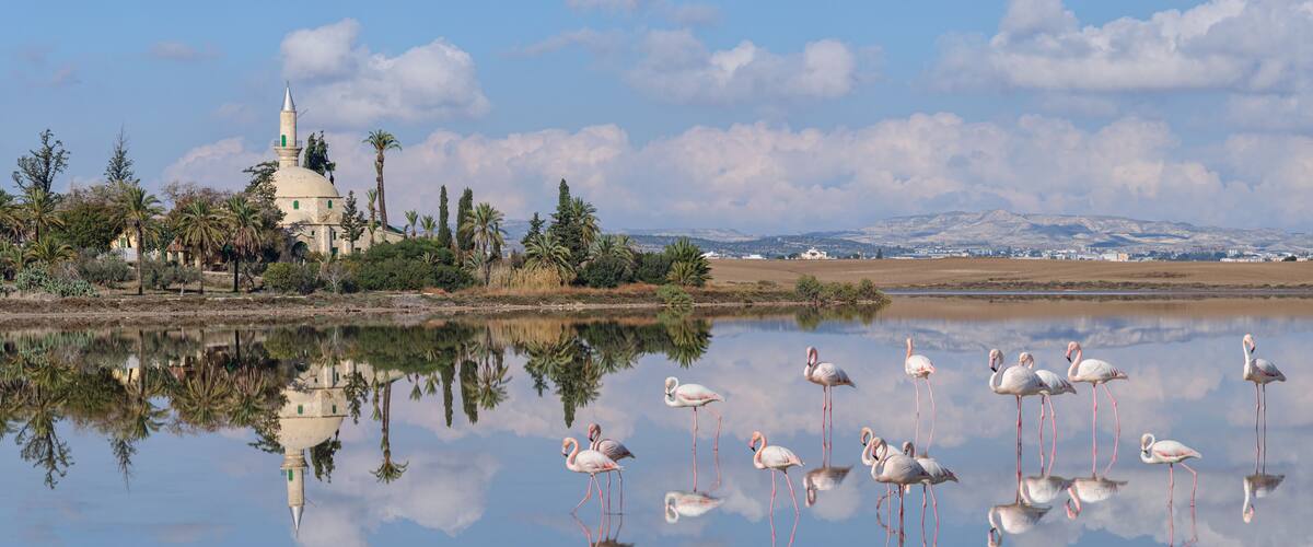 A serene lake with flamingos, a mosque with a green dome, and a mountainous backdrop.