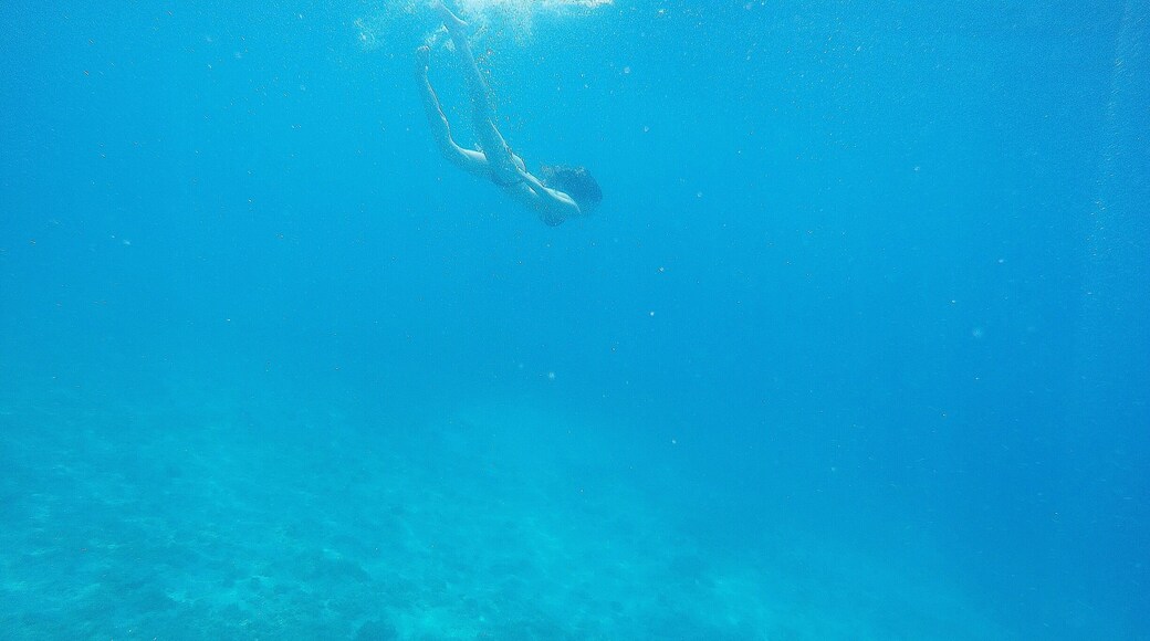 Water so blue you can't pee! The Kornati water is so beautiful and clear. Definitely take a snorkel and have a long swim! #kornati #croatia #waterlust #Blue