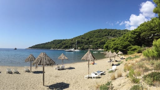 Perfect sandy beach on the southern tip of Mljet, Croatia.
#AquaTrove #beach #swim #nature
