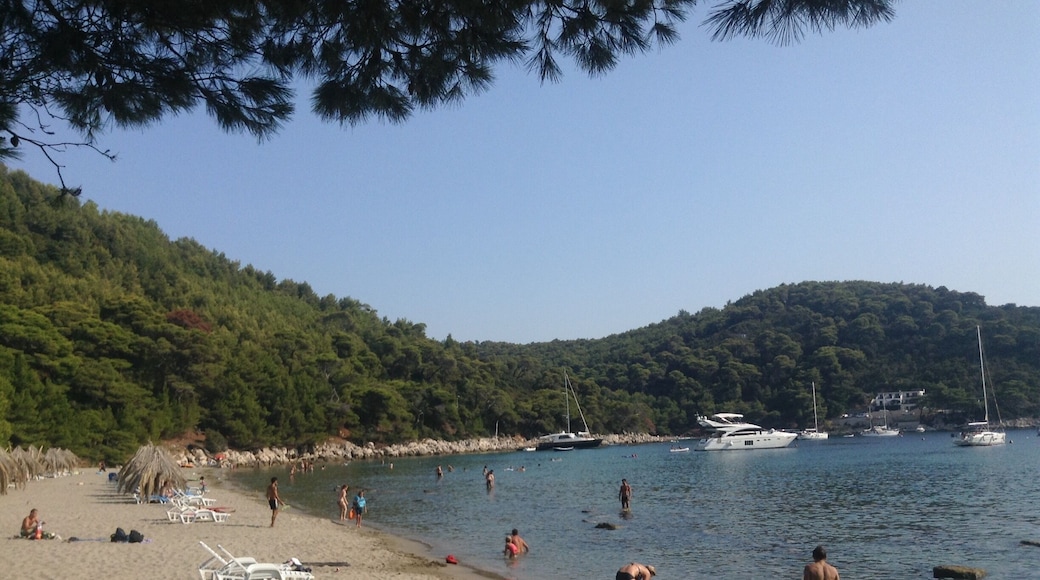 Perfect sandy beach on the southern tip of Mljet, Croatia.
#AquaTrove #beach #swim #nature