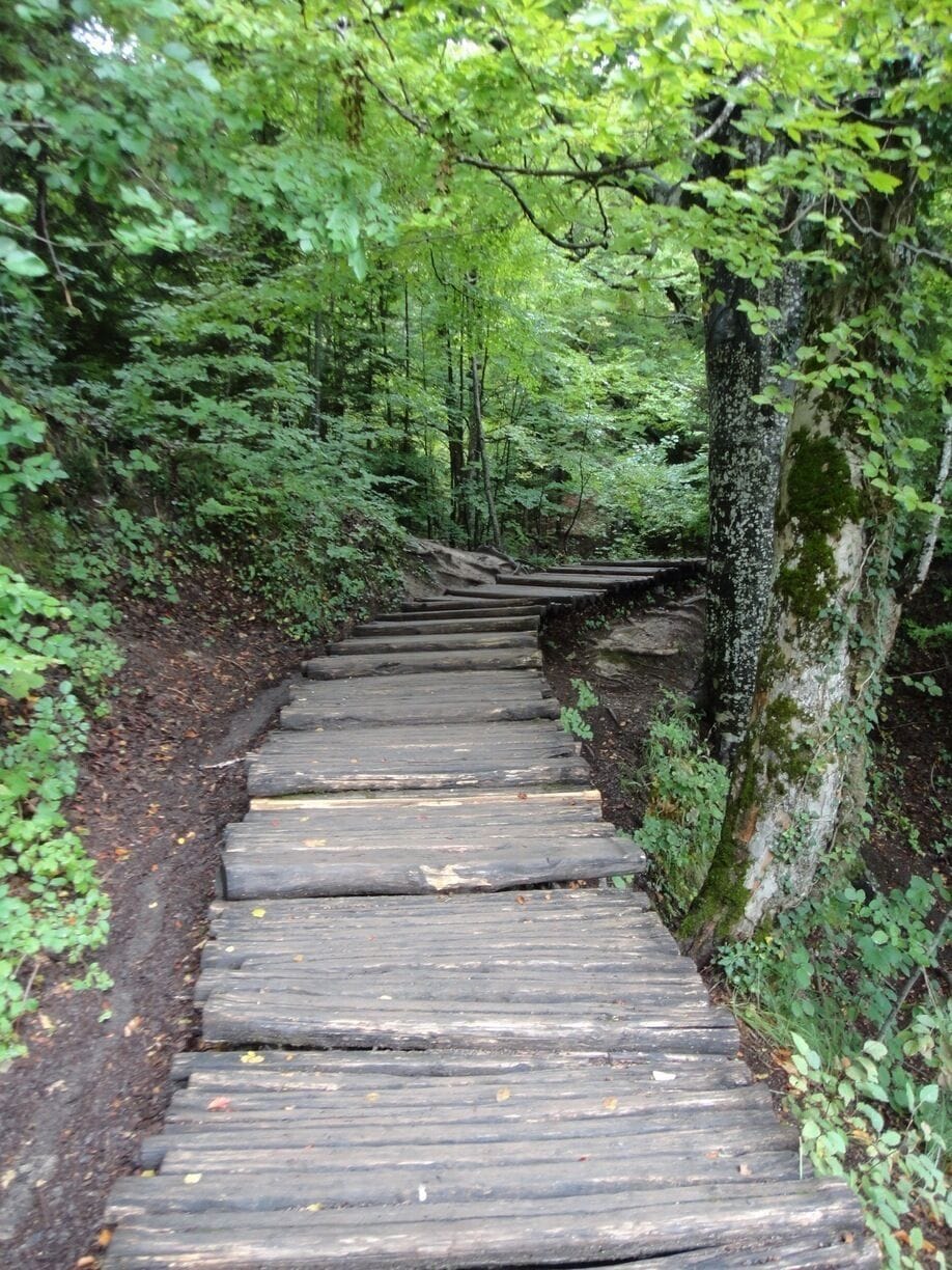 A definite &#x27;must see&#x27;!  Best day excursion from Zadar, only 1:40 hrs to get there &amp; the 5 hours we had to wander around was enough to see most 😉