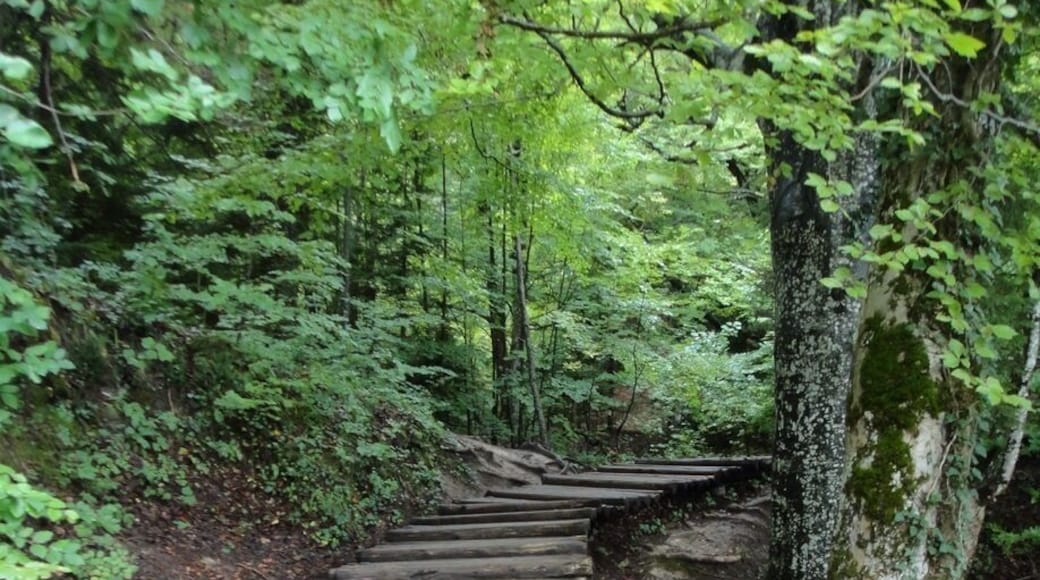 A definite 'must see'! Best day excursion from Zadar, only 1:40 hrs to get there & the 5 hours we had to wander around was enough to see most 😉