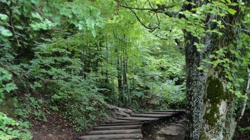 A definite 'must see'! Best day excursion from Zadar, only 1:40 hrs to get there & the 5 hours we had to wander around was enough to see most 😉