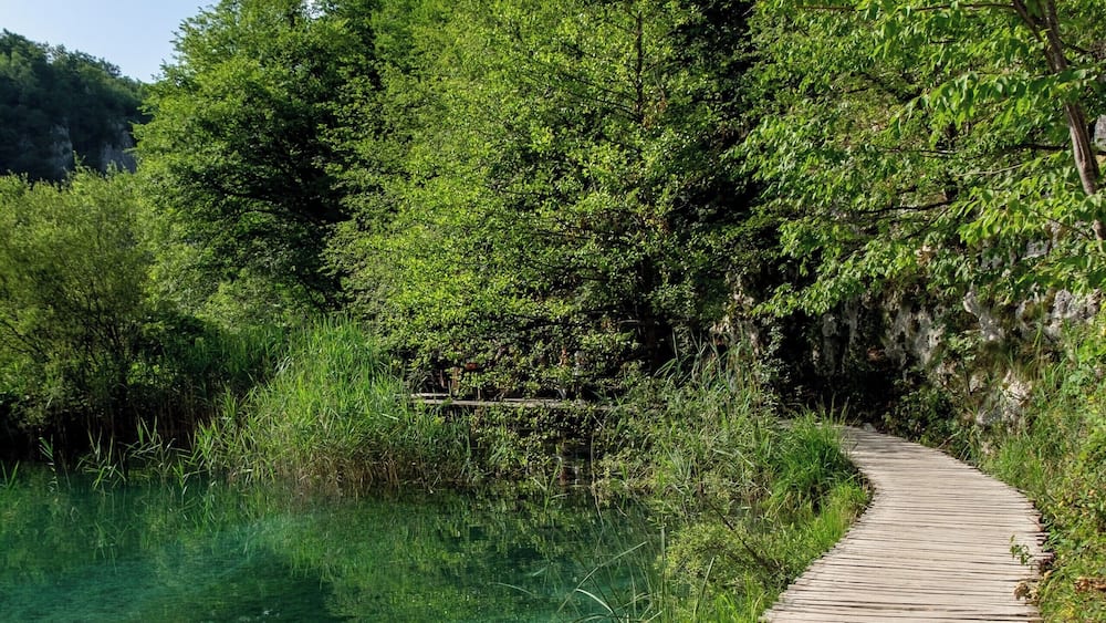 The breathtaking #plitvicelakes National Park added In 1979 to the Unesco World Heritage Sites list.
#Croatia #croatialife #croatianow #croatiatodo #igerscroatia #onlycroatia #visitcroatia #wonderlustcroatia #unlimitedcroatia #lovecroatia #croatia_instagram #croatia_photography #igerscroatia #croatiancoast #croatialove #CroatiaFullOfLife #travelingram #instatraveling #travelphotography #travel #travelgram #instagrammers #unesco #plitvice #plitvickajezera #waterfalls #nature #water #nationalpark