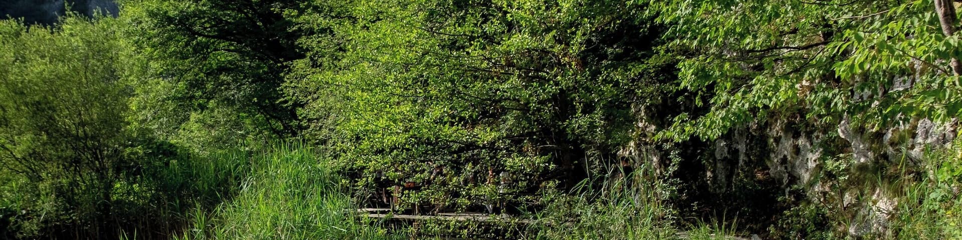 The breathtaking #plitvicelakes National Park added In 1979 to the Unesco World Heritage Sites list.
#Croatia #croatialife #croatianow #croatiatodo #igerscroatia #onlycroatia #visitcroatia #wonderlustcroatia #unlimitedcroatia #lovecroatia #croatia_instagram #croatia_photography #igerscroatia #croatiancoast #croatialove #CroatiaFullOfLife #travelingram #instatraveling #travelphotography #travel #travelgram #instagrammers #unesco #plitvice #plitvickajezera #waterfalls #nature #water #nationalpark