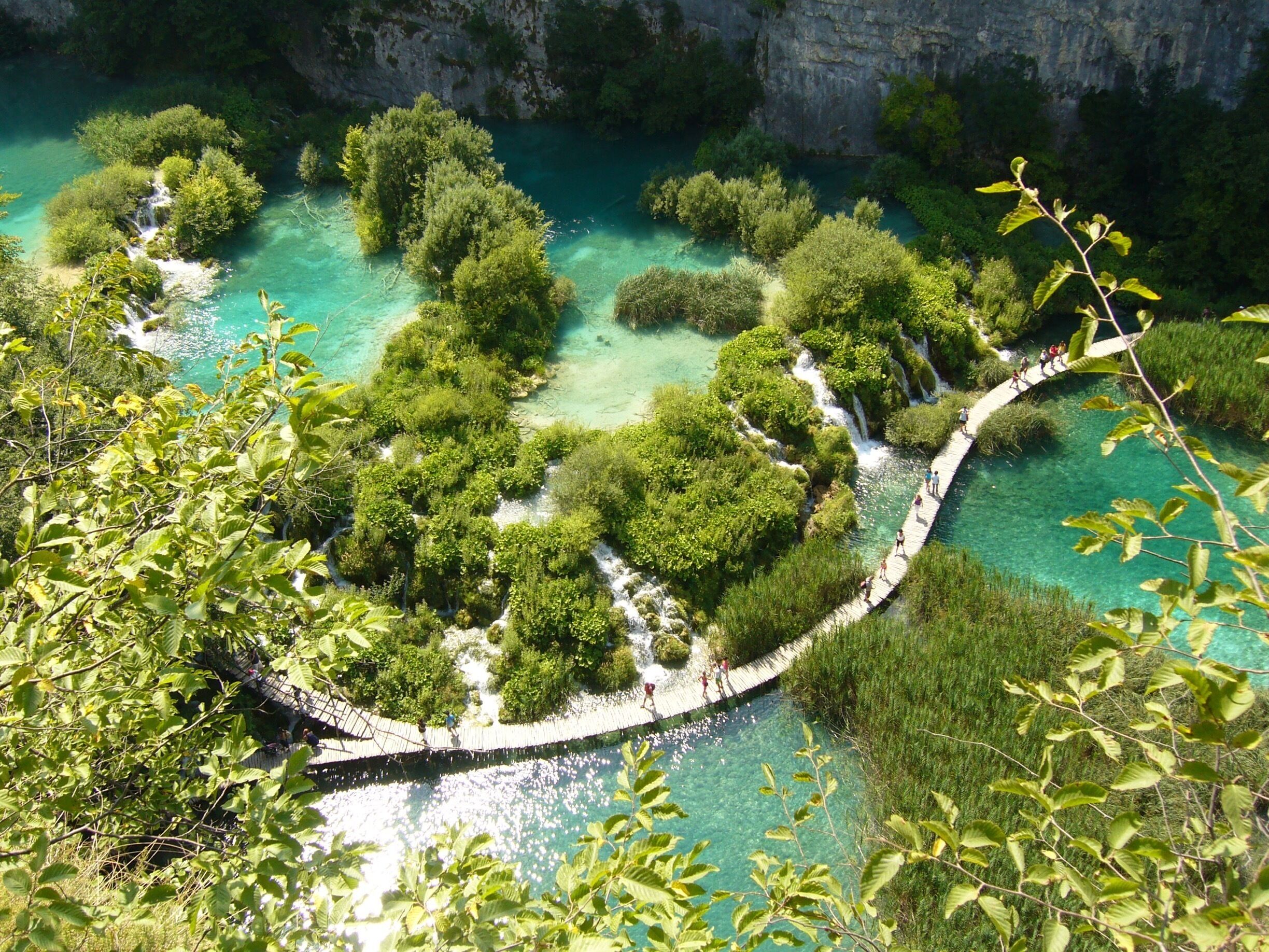 A clear turquoise river with a wooden walkway surrounded by lush greenery.