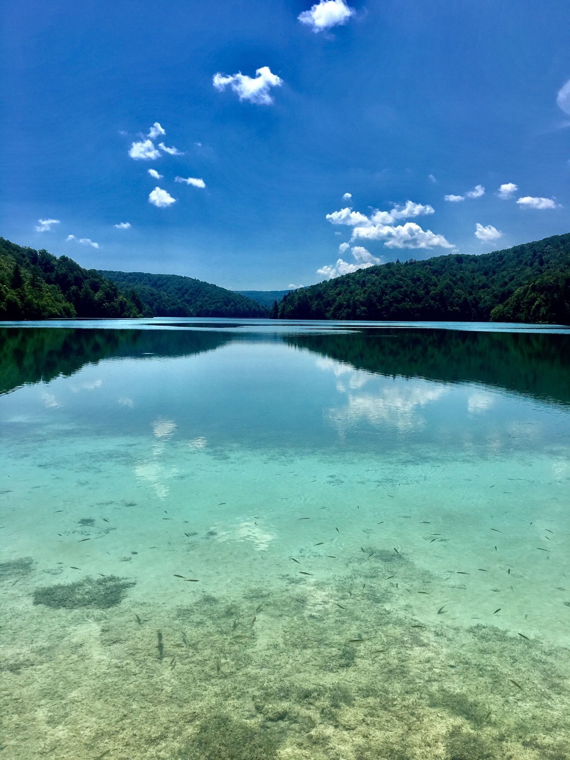 A clear lake with a forested mountain range in the background.