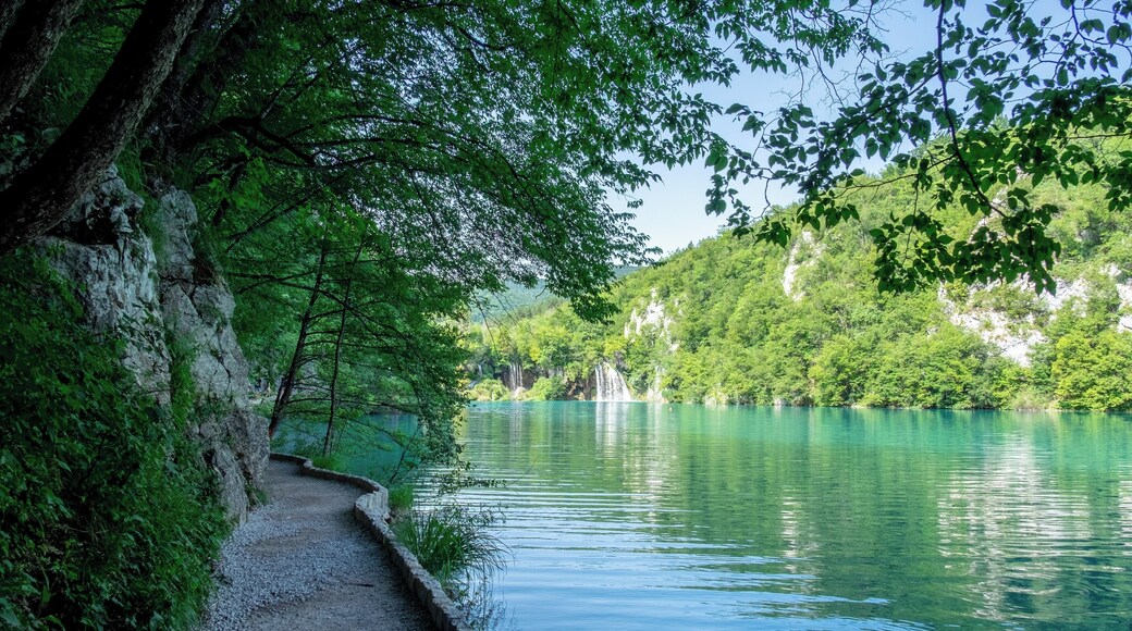 The breathtaking #plitvicelakes National Park added In 1979 to the Unesco World Heritage Sites list.
#Croatia #croatialife #croatianow #croatiatodo #igerscroatia #onlycroatia #visitcroatia #wonderlustcroatia #unlimitedcroatia #lovecroatia #croatia_instagram #croatia_photography #igerscroatia #croatiancoast #croatialove #CroatiaFullOfLife #travelingram #instatraveling #travelphotography #travel #travelgram #instagrammers #unesco #plitvice #plitvickajezera #waterfalls #nature #water #nationalpark