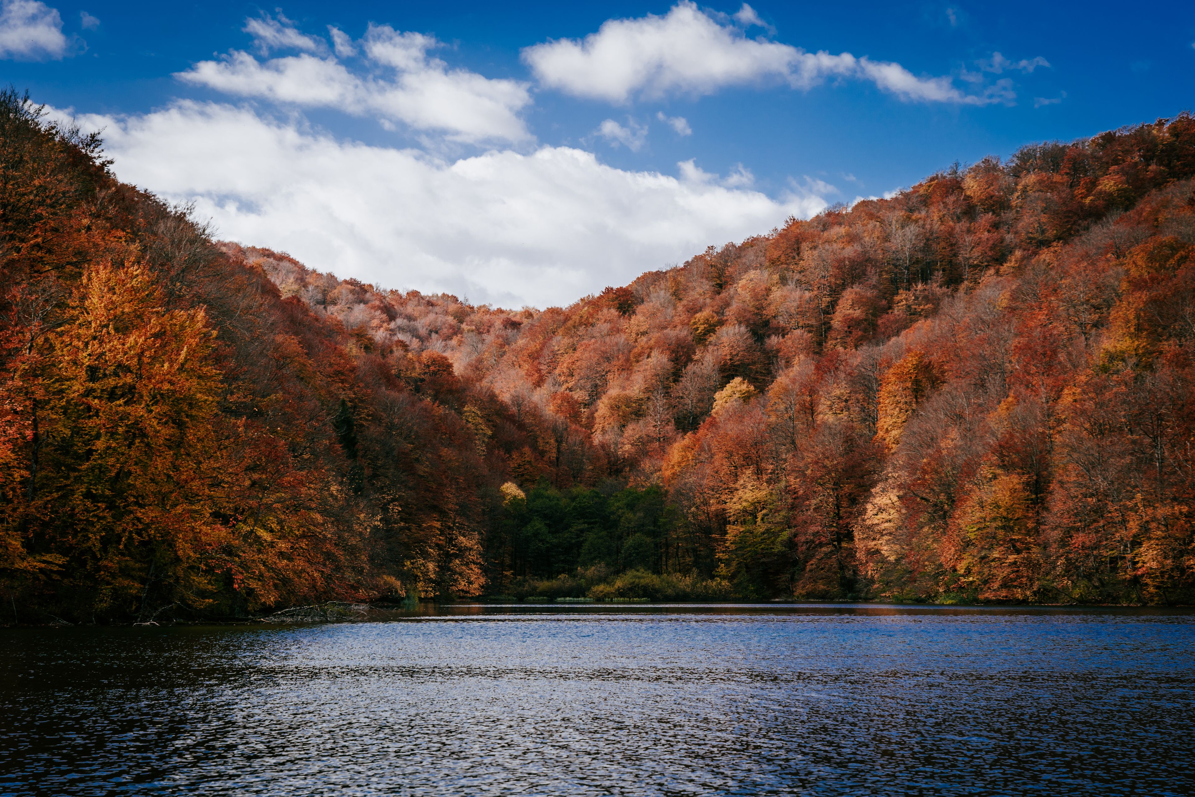 Un lago rodeado de árboles con colores otoñales y un cielo azul despejado.