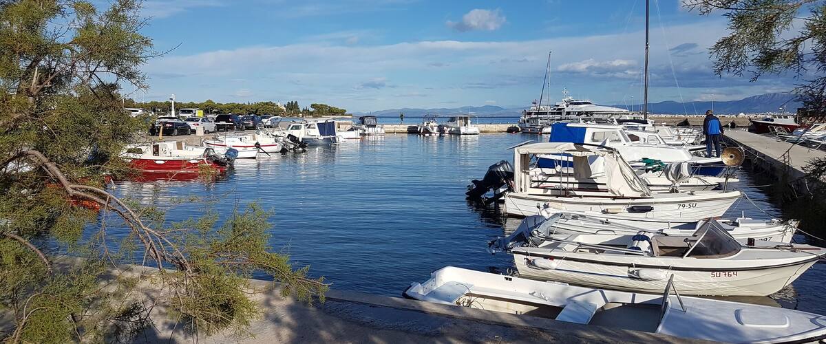 Satamassa oli useita erilaisia veneitä, ja sitä ympäröivät puut sekä kirkas taivas.