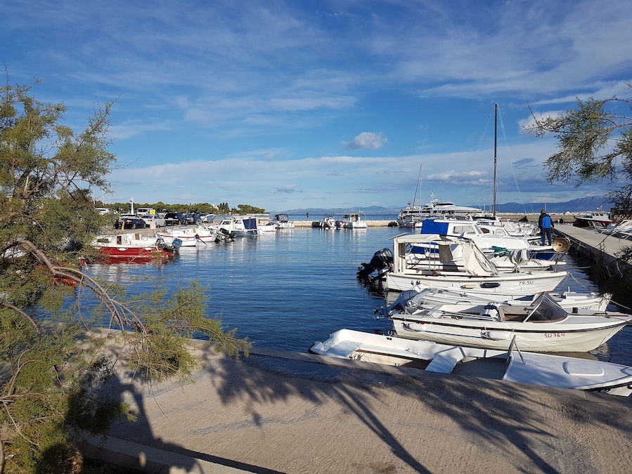Un puerto deportivo con varias embarcaciones amarradas, rodeado de árboles y un cielo despejado.