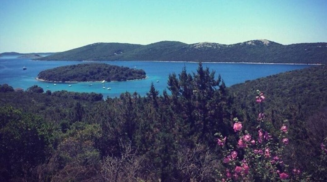 Brgulje (island Molat) is the.right place for those who like quiet private hollidays. In it's port sailors will find a perfect shelter against all winds.
The peace and serenity of Molat island is something that can only be found in an untouched nature