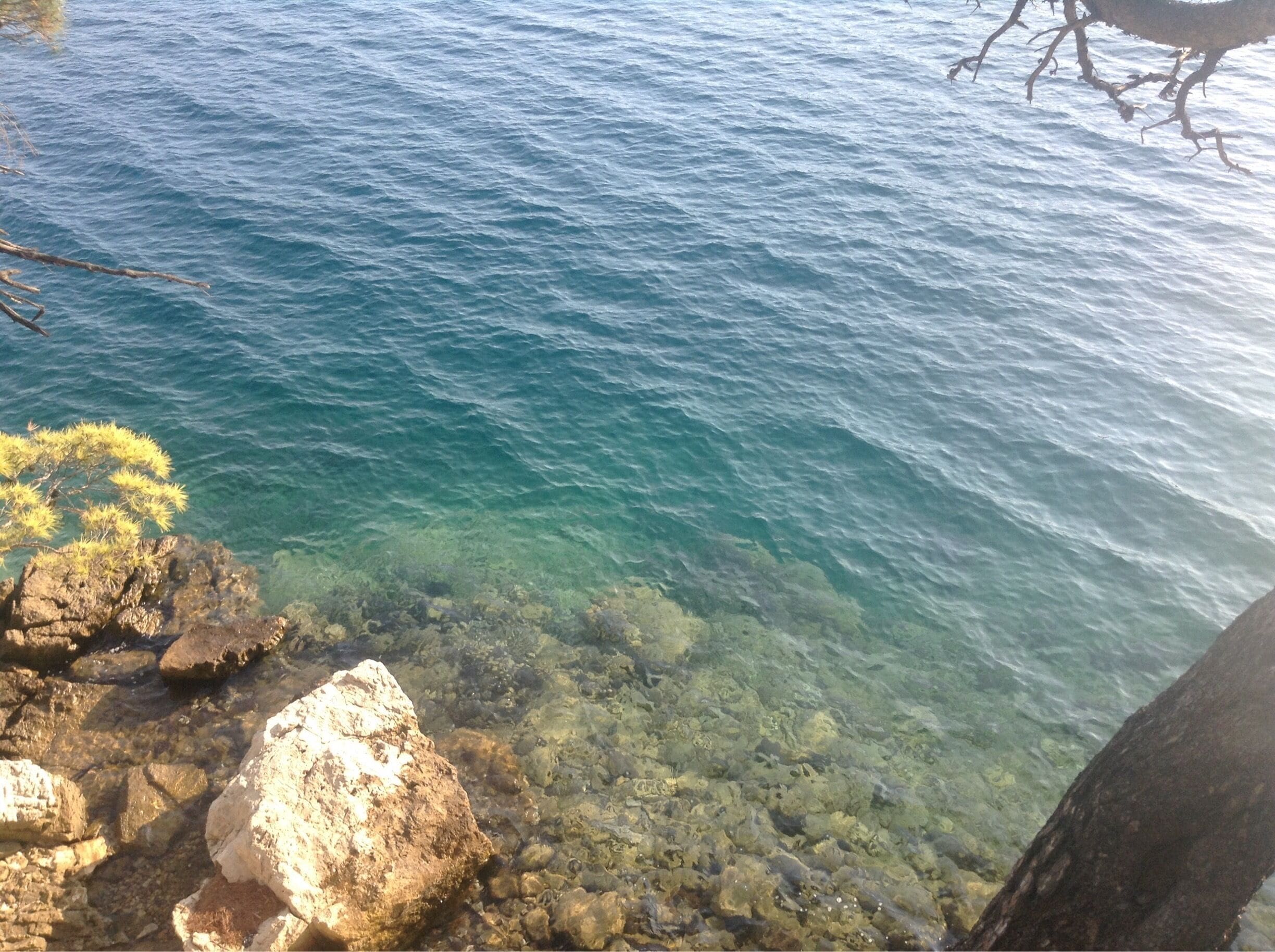 Veliko jezero in Mljet national park. Perfect spot for a swim!

#AquaTrove #swim #nationalpark #blue