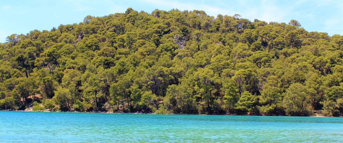 A clear turquoise sea with a densely forested hill in the background.