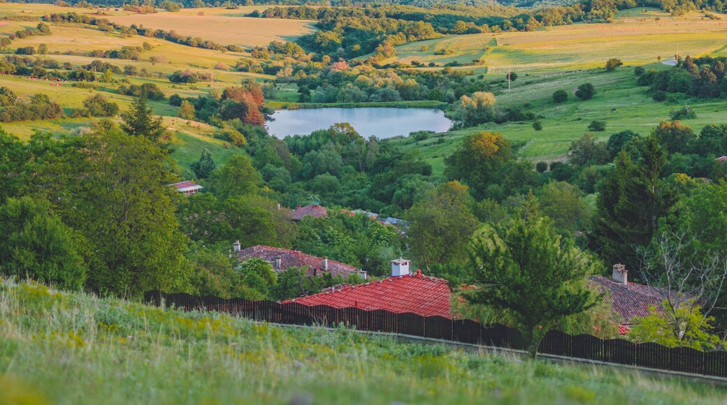 Imagine this view combined with fresh mountain air and amazing scent of thyme....I can live like this forever!🌿💜