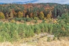 Walking on the southern slopes of Vitosha with just the smallest remains of the river after a dry summer,with the trees showing the start of the Autumn colours on the mountain.