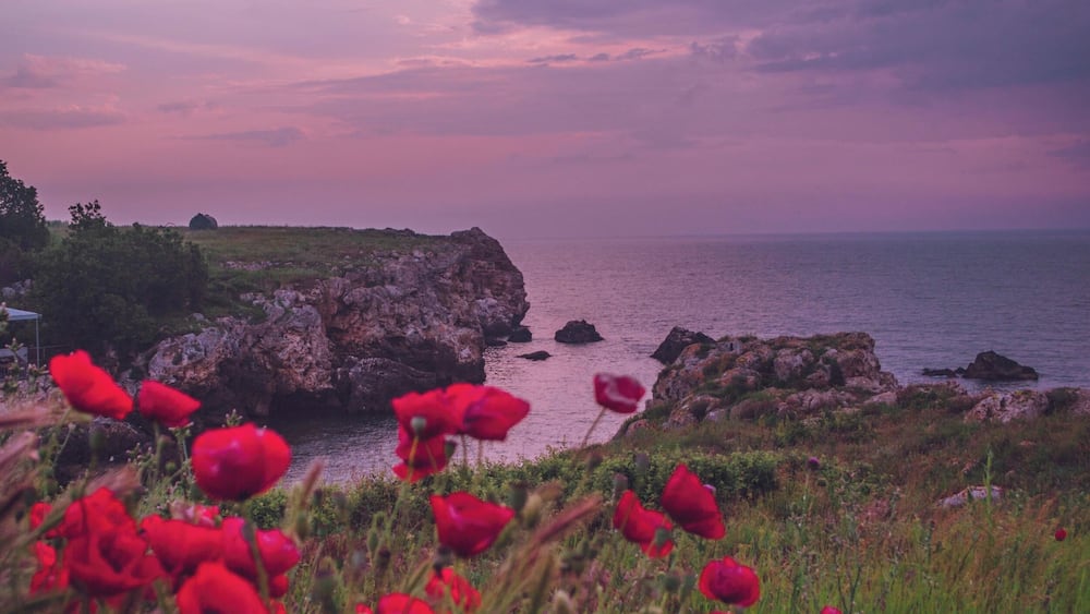 Eine Küstenlandschaft mit roten Klatschmohnblumen im Vordergrund und einer felsigen Klippe, die über das Meer unter einem violetten Himmel blickt.