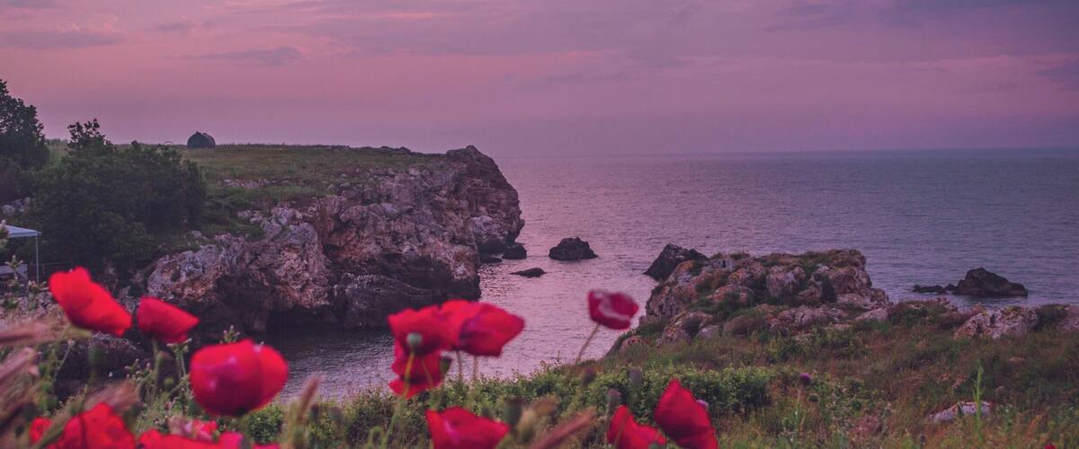 Un paisaje costero con amapolas rojas en primer plano y un acantilado rocoso sobre el mar bajo un cielo púrpura.