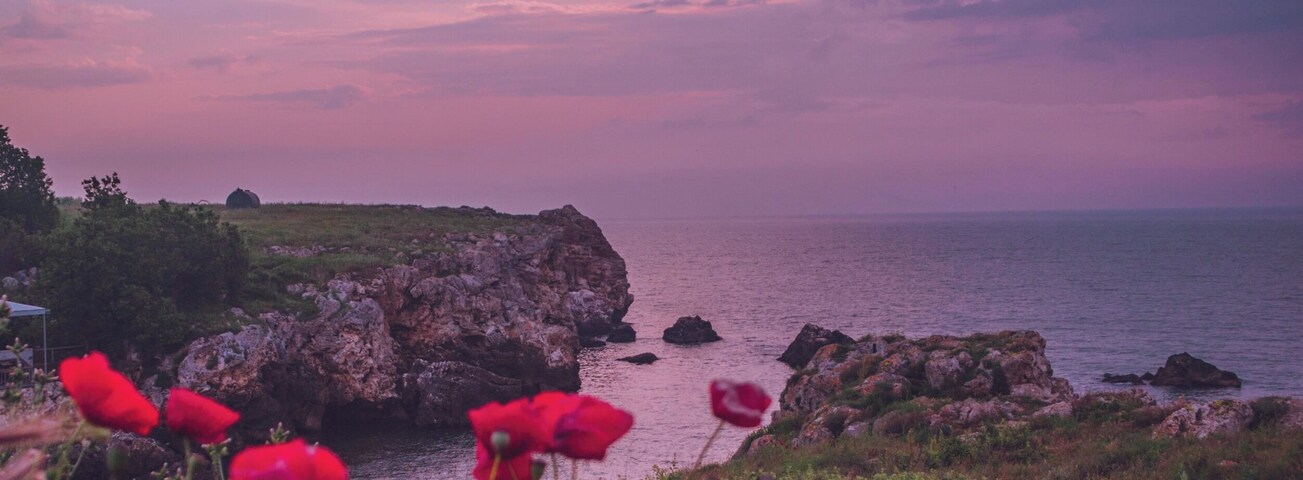 Paisagem costeira com papoulas vermelhas em primeiro plano e um penhasco rochoso a sobrepor o mar sob um céu roxo.