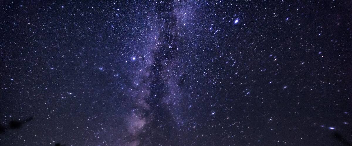 A starry night sky with a visible Milky Way, a tent, and silhouetted plants.