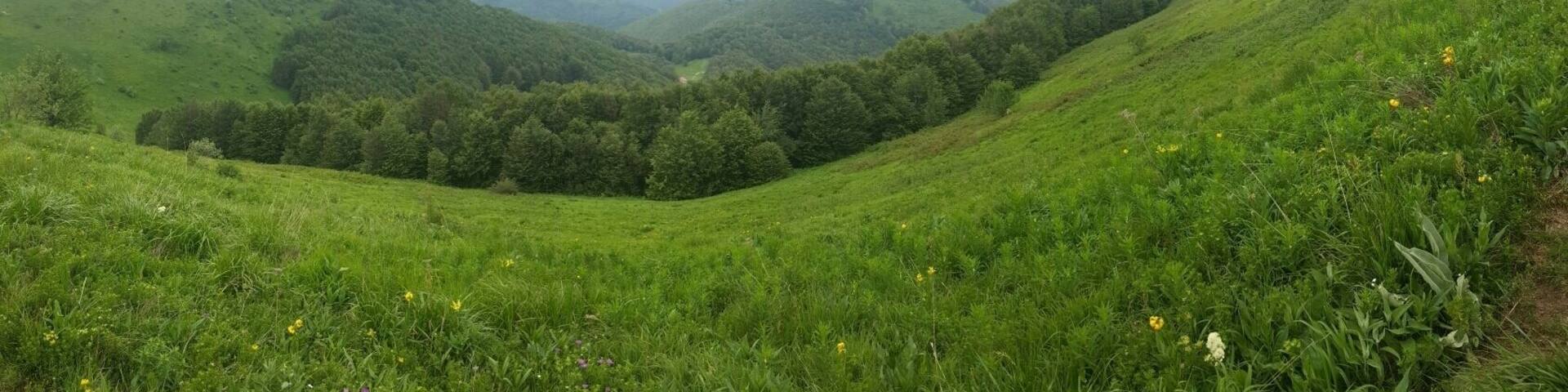 Rui mountain.It' s situated on the border with Serbia and offer a panoramic view from the peak Rui.It is home also for rare flower species.