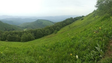 Rui mountain.It' s situated on the border with Serbia and offer a panoramic view from the peak Rui.It is home also for rare flower species.