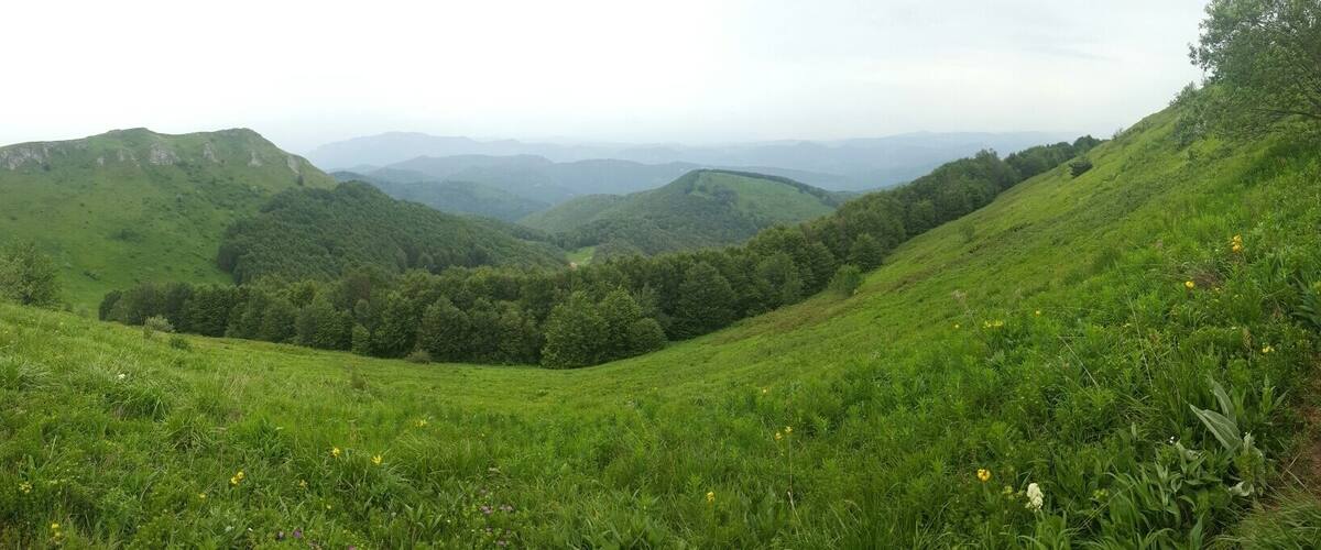 A lush green valley with rolling hills and distant mountains.