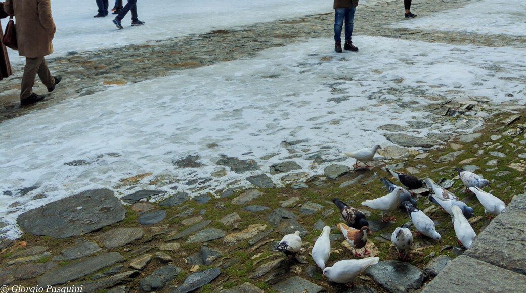 Rila Monastery. Such a magical and mind blowing place!