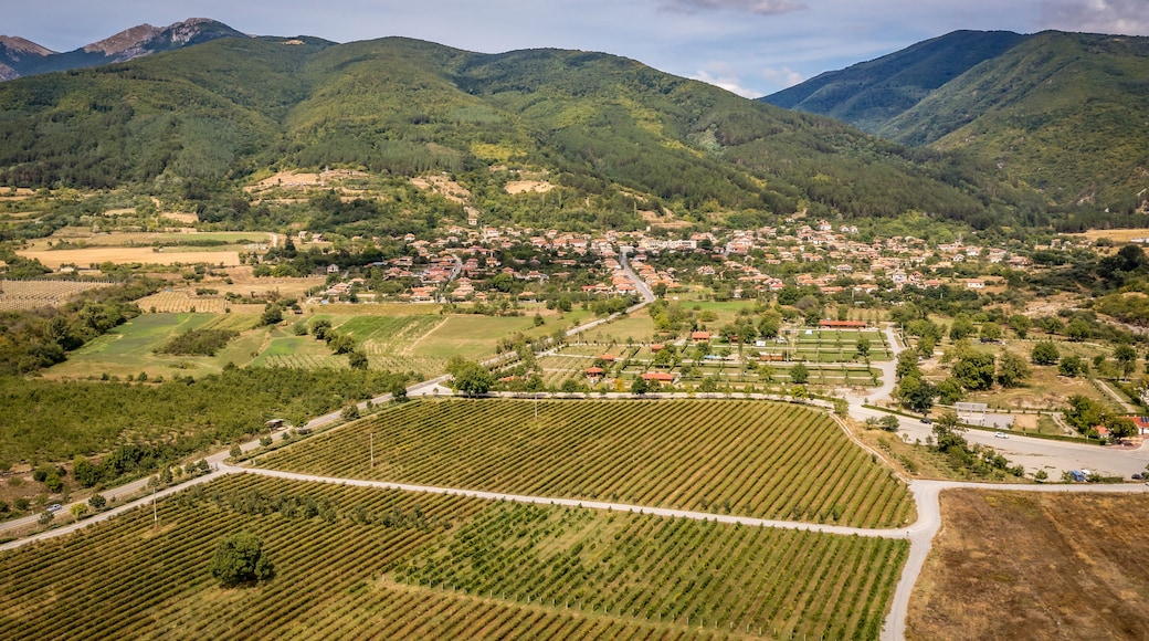 Aerial view of rose fields near Skobelevo village in Rose Valley, Bulgaria