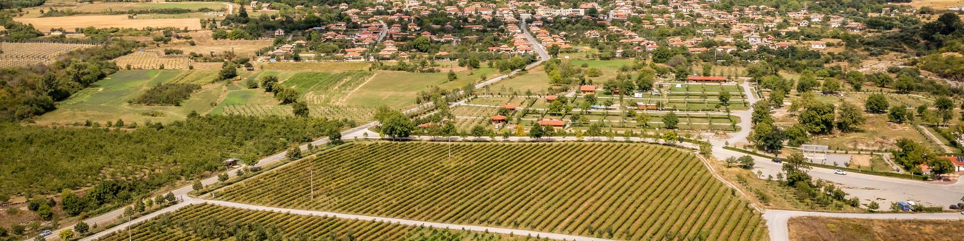 Aerial view of rose fields near Skobelevo village in Rose Valley, Bulgaria