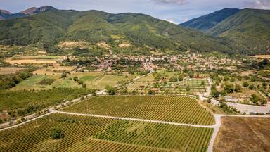 Aerial view of rose fields near Skobelevo village in Rose Valley, Bulgaria