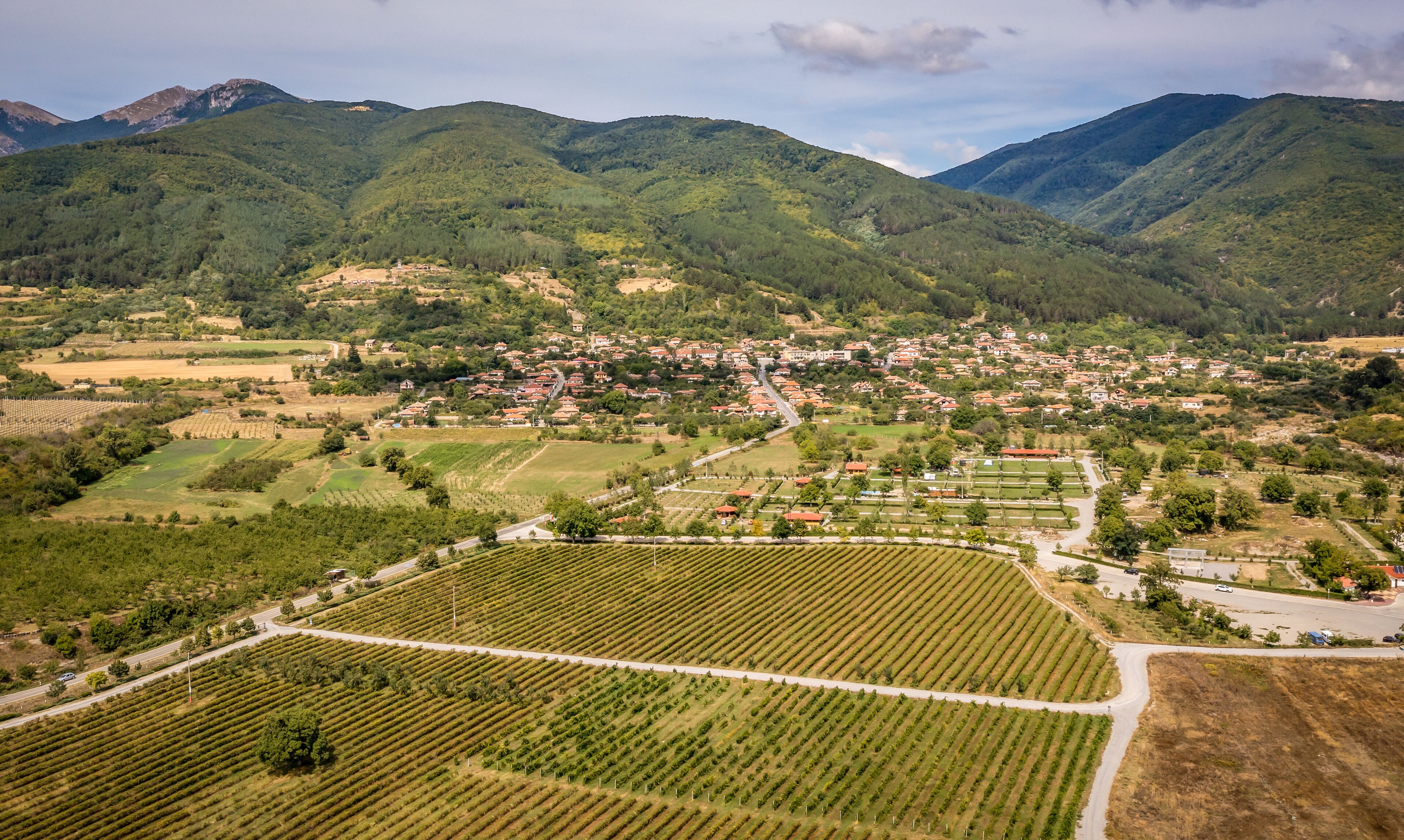 A town nestled in a valley with vineyards and mountains in the background.
