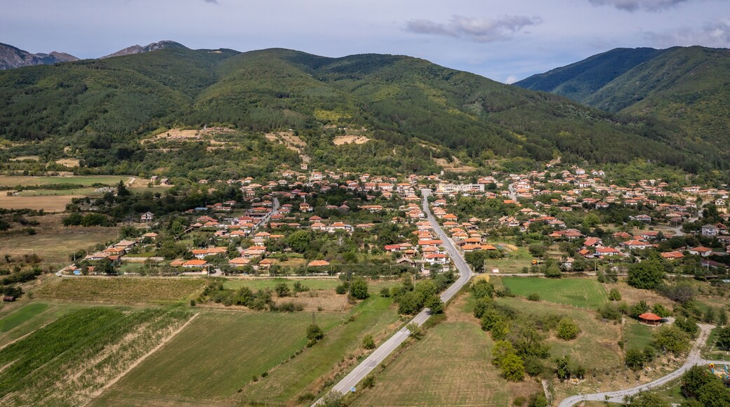 Aerial drone photo of view of rose fields near Skobelevo village in Rose Valley, Bulgaria
