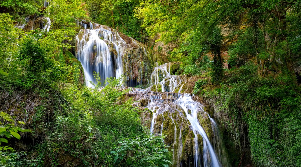 Letnitsa