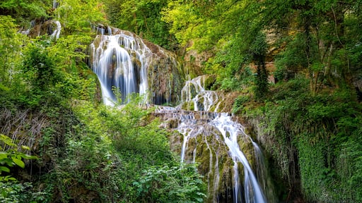 Letnitsa