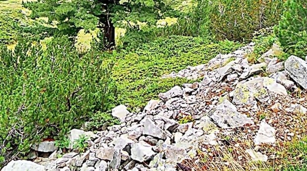 Mount Vihren
Standing between the mountains, the view was fantastic as we kept hearing the noises of nature at a harmonious melody!