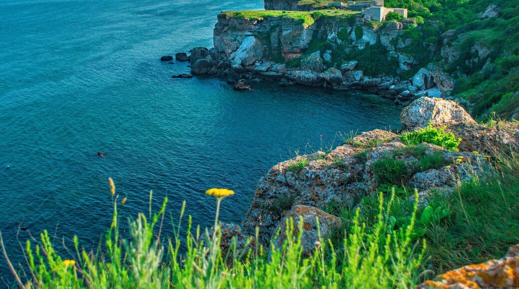 You can rest by the sea, explore the nature like rare flowers and birds and feel your soul with amazing views.