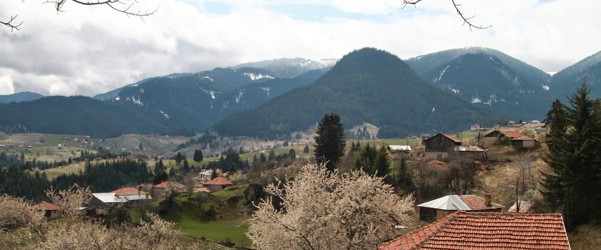 A rural village with traditional houses, blooming trees, and snow-capped mountains in the background.