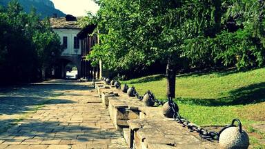 A cobblestone pathway lined with stone bollards and a tree.