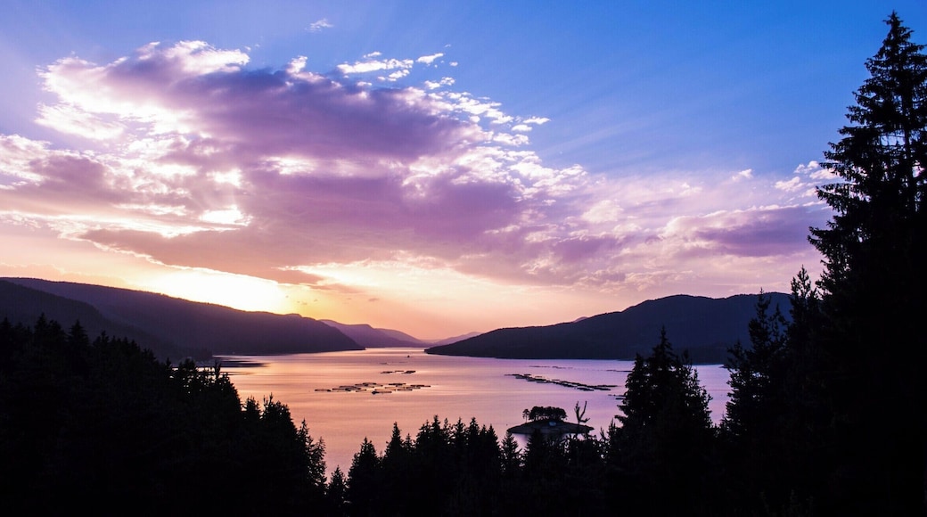 Dospat is a dam on the Dospat river in the Western Rhodopes. Located at 1200 m altitude. height. It was built on the Dospat River.
It is perfect for vacation and enjoying both water and mountains.