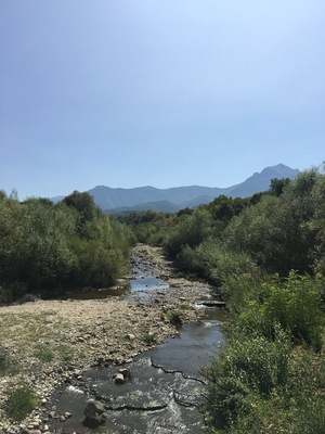 Creek and mountain view