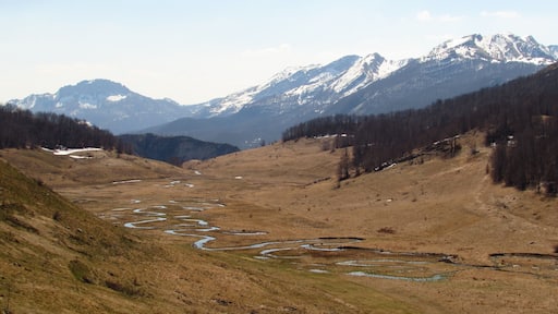 The creek Studeni Potok has a shape similar to snake movement in the sand. Legend has it that once upon a time people of Umoljani village were attacked by a terrible big dragon with snake shaped body...
#Green #ViaDinarica #mountainlife #mountain #adventure #travel #hike